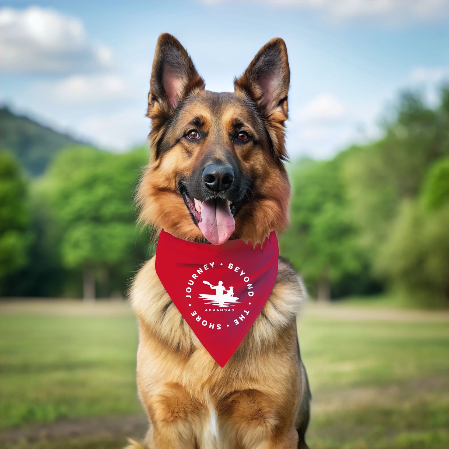 Journey Beyond Pet Bandana Collar