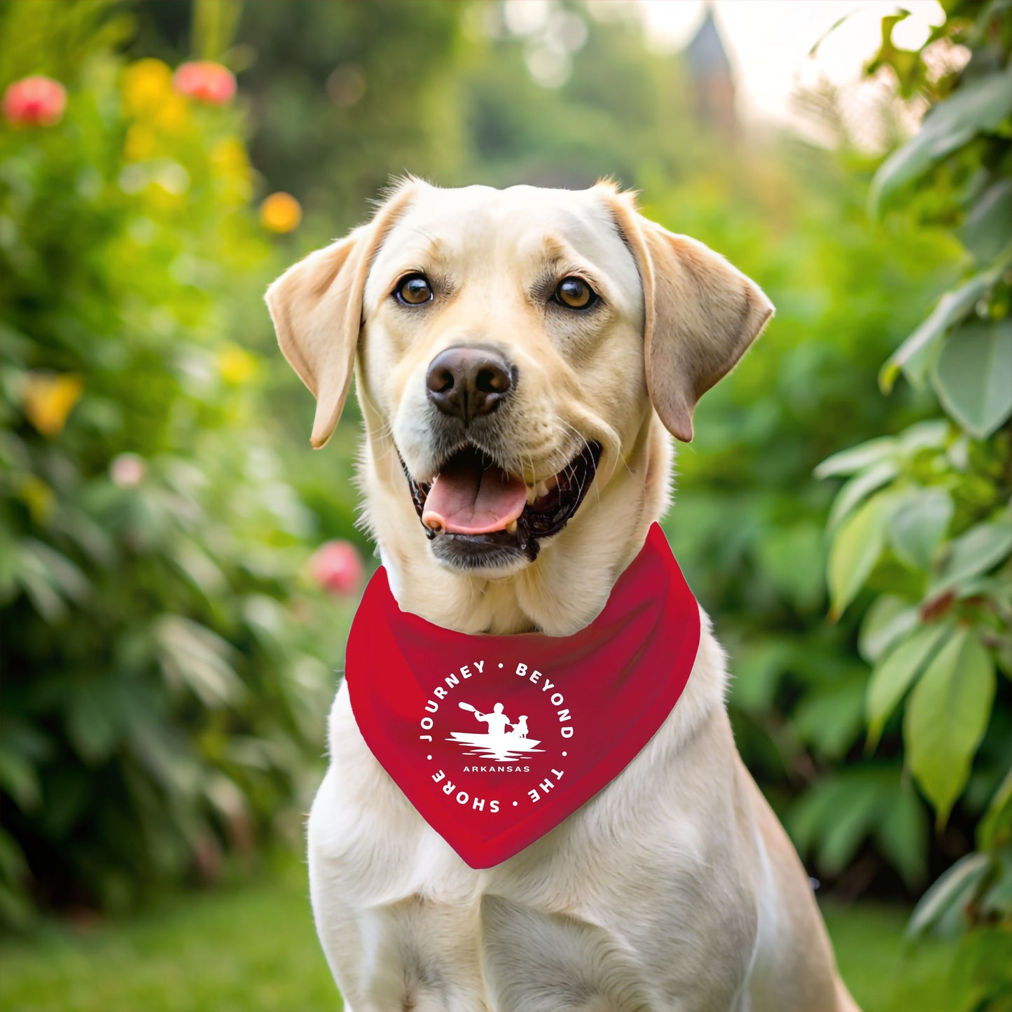 Journey Beyond Pet Bandana Collar